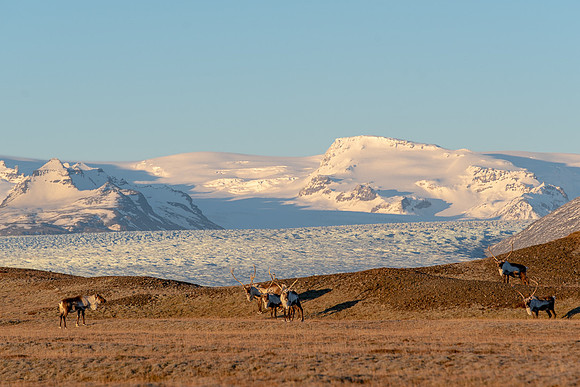 20181203 - Iceland-2079