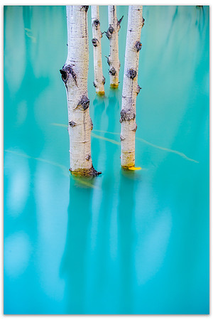 20210930 - Fall-submerged trees
